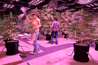 Organização e disciplina